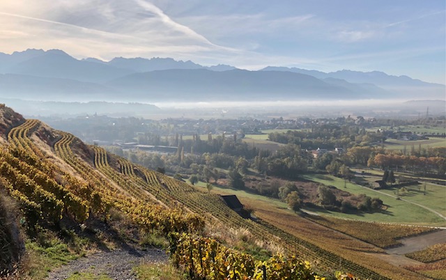 Chignin Vineyards Savoie